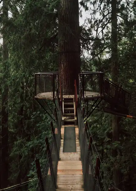 劳伦琴山脉待售房屋附近森林中的吊桥