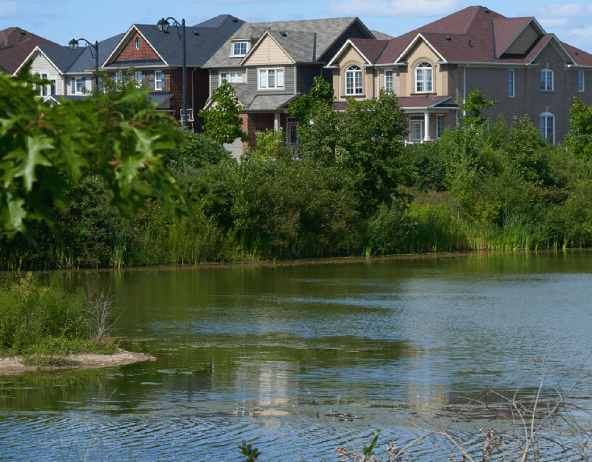 A large lake with trees surrounding it and houses in the distance. 