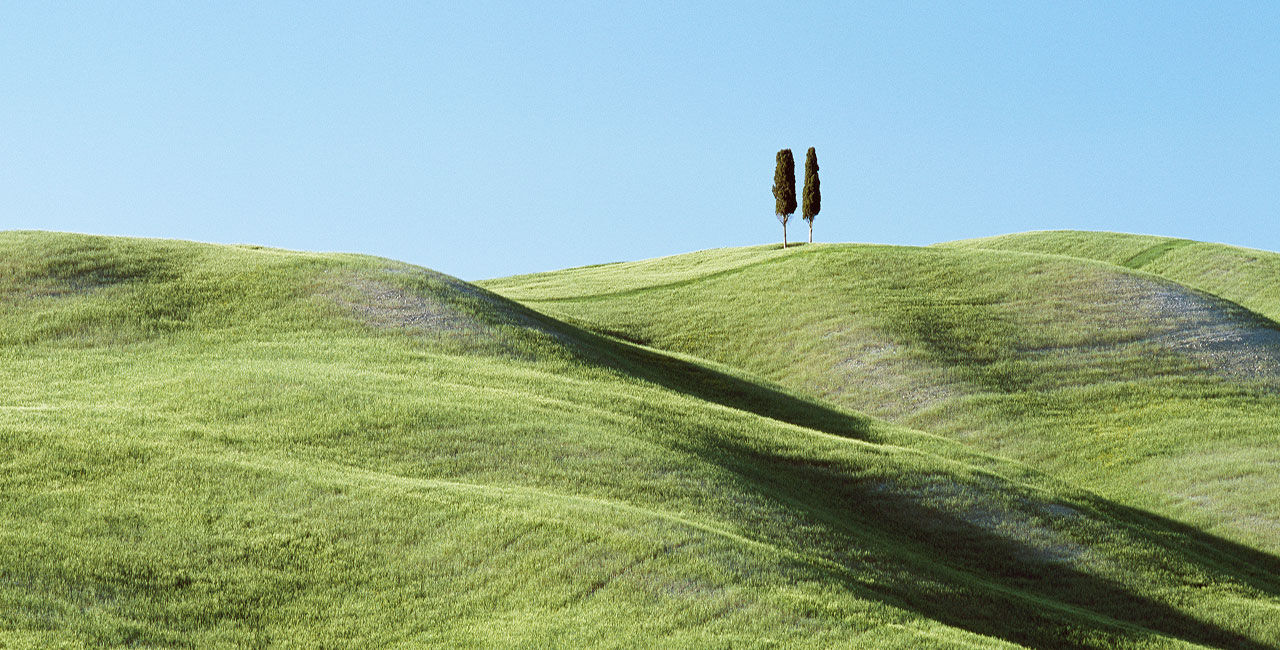 Two trees in the distance on top of a green hill.