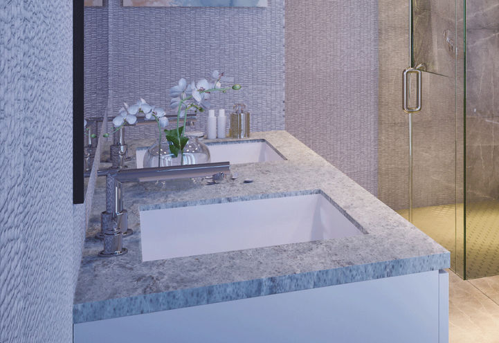 Bathroom Features at Eleven Altamont Towns