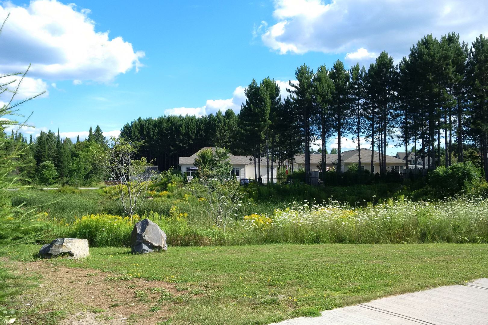 Exterior photo of White Pines